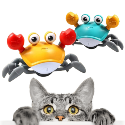 Brinquedo Caranguejo Elétrico | Petz