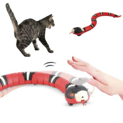Brinquedo Cobra Inteligente Recarregável Elétrica para Gatos | Petz