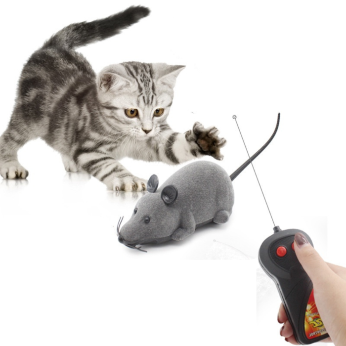 Brinquedo Rato de Controle Remoto para Gatos | Petz