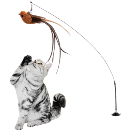 Brinquedo Vara com Ventosa para Gatos | Petz