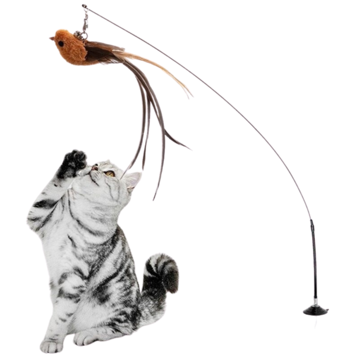 Brinquedo Vara com Ventosa para Gatos | Petz
