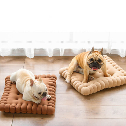 Cama de cachorro acolchoada de biscoito | Petz