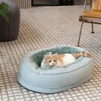 Cama Ortopédica Fofa para Cachorro Donut | Petz