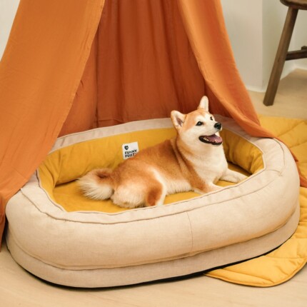 Cama para Cachorro - Donut | Petz