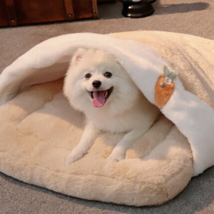Cama Pet Candy | Para Cachorro e Gato | Petz