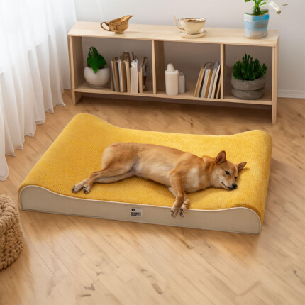 Espreguiçadeira Luxuosa para Cães Cama Ortopédica Nobre para Cães | Petz