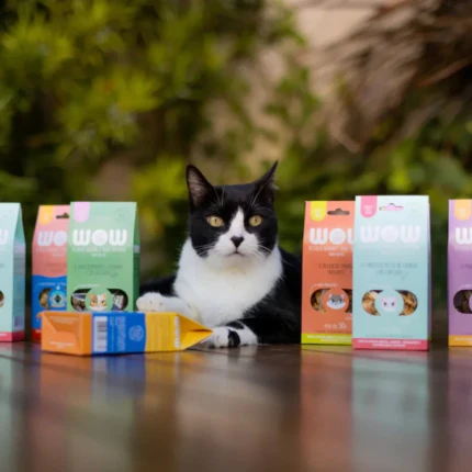 Kit de Petiscos Naturais para Gatos de Lombinho | Petz