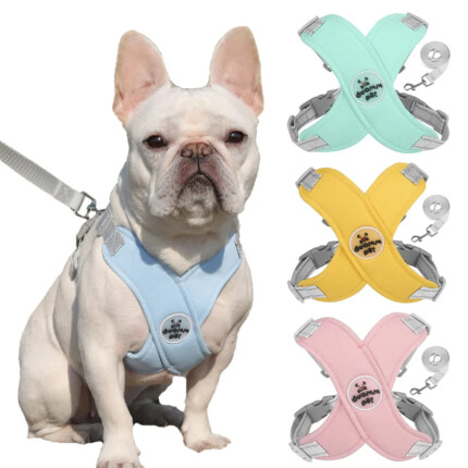 Kit Guia e Peitoral Duomm | Para Cachorro e Gato | Petz