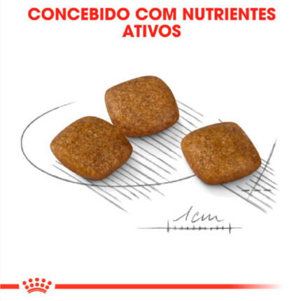Ração Royal Canin Relax Care para Cães Adultos de Porte Mini a Partir de 10 Meses de Idade | Petz