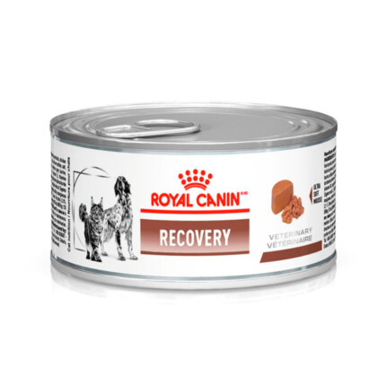 Ração Úmida Royal Canin Lata Veterinary Diet Recovery para Cães e Gatos em Recuperação - 195 g | Petz